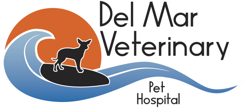 Del Mar Veterinary Pet Hospital Humacao Pr Veterinario Humacao Del
